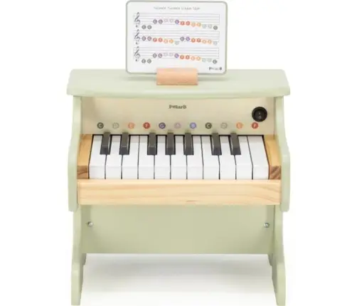 Wooden Piano Multicolor