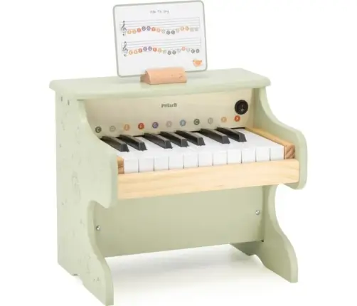 Wooden Piano Multicolor