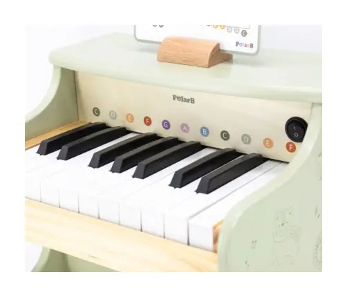 Wooden Piano Multicolor