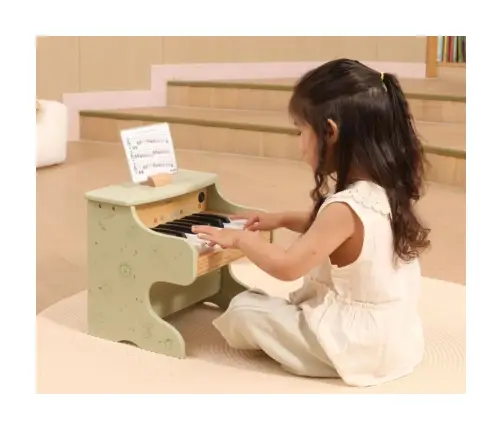 Wooden Piano Multicolor