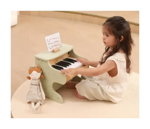 Wooden Piano Multicolor