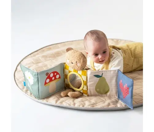 Taf Toys Snuggle Bear Book