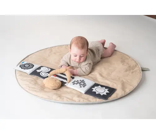 Taf Toys Snuggle Bear Book