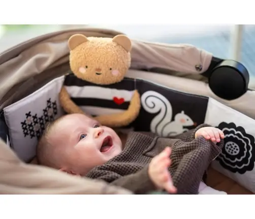 Taf Toys Snuggle Bear Book