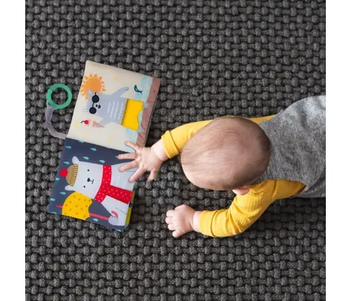 Taf Toys baby book What does Paul wear