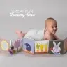Taf Toys pram book Urban garden