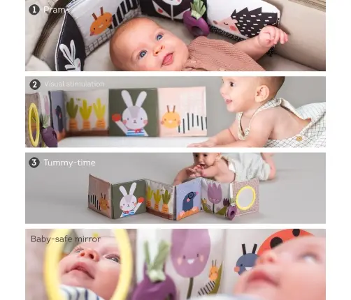 Taf Toys pram book Urban garden