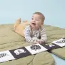 Taf Toys Savannah Black & white book