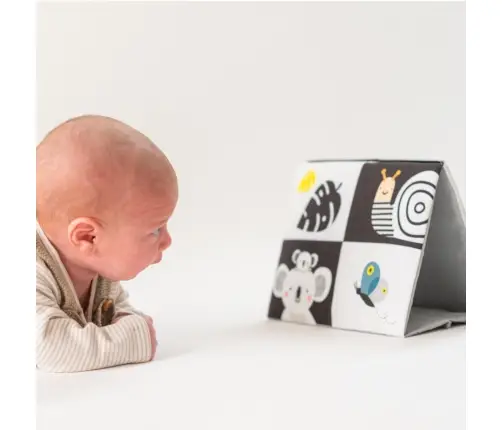 Taf Toys Tummy-time mirror Book
