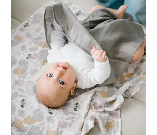 BabyOno Muslin diapers super soft 3pcs, Grey