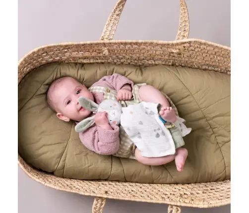 Taf Toys blankie Bunny