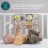 Taf Toys aktiivsuskeskus