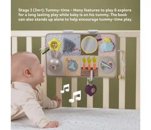 Taf Toys aktiivsuskeskus