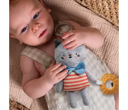 Taf Toys riputatav mänguasi Clara