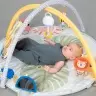 Taf Toys mängumatt "Savannah 360"