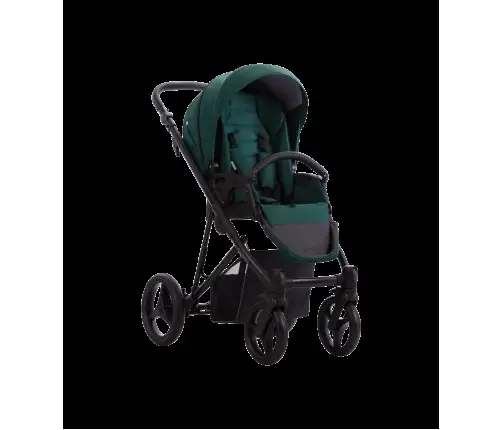Bebetto Flavio 12 Bērnu rati 2in1