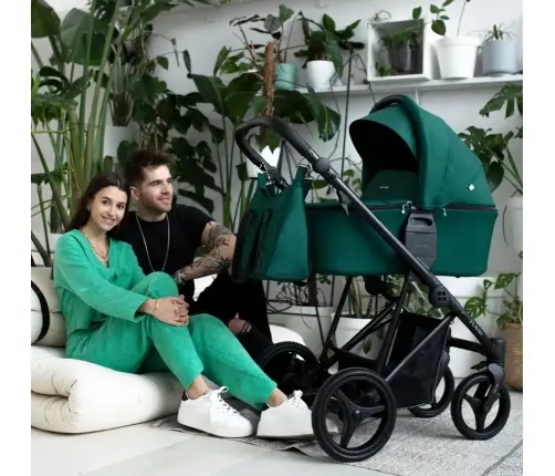 Bebetto Flavio 12 Bērnu rati 2in1
