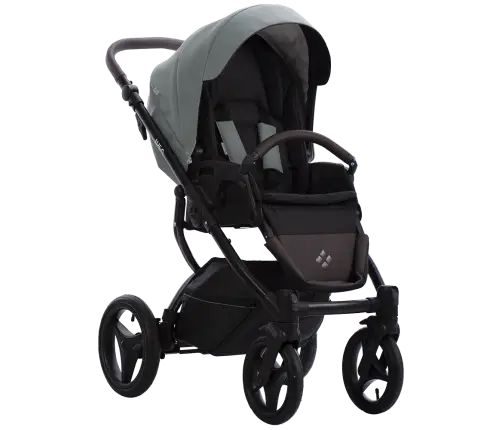 Bebetto Luca Pro 32 Bērnu rati 2in1