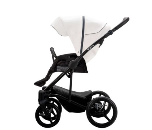 Bebetto Torino 01 CZM Детская коляска 2 в 1