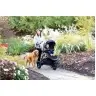Graco Trailrider Black Sporta Ratiņi skriešanai