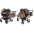 Junama Basic Duo 04 Sand Dvīņu rati 2in1