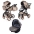 Junama Termo Line Eco 03 Beige Bērnu rati 3in1