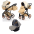 Junama Termo Line Mix 02 Beige Bērnu rati 3in1