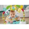 Прыгунки Fisher Price Rainforest Spacesaver Jumperoo CHN38