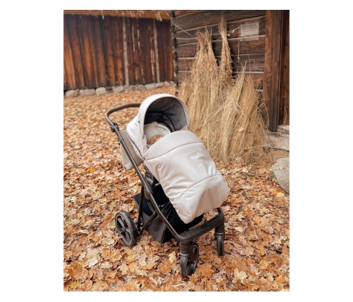 Roan Ivi Sesame Детская коляска 2 в 1