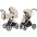 Carrello Vector CRL-6550 Seashell Beige Baby Stroller 2in1