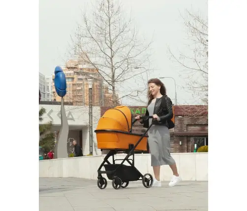 Carrello Alfa 2in1 Sunrise Orange Детская Коляска