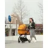 Carrello Alfa 2in1 Sunrise Orange Детская Коляска