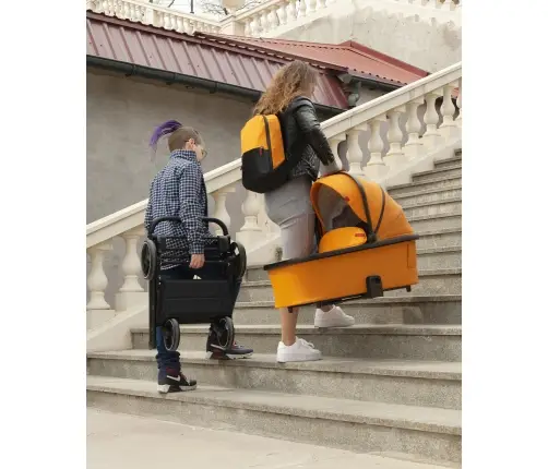 Carrello Alfa 2in1 Sunrise Orange Детская Коляска
