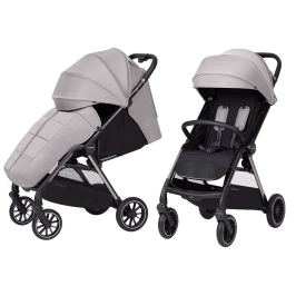 Carrello Delta Flint Grey CRL-5517 Stroller