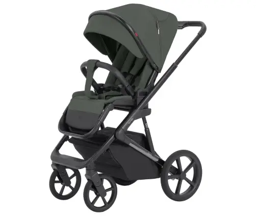 CARRELLO Sigma CRL-6523 Leaf Green Bērnu rati 2in1