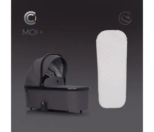 Cavoe Moi+ Iron Pastaigu rati