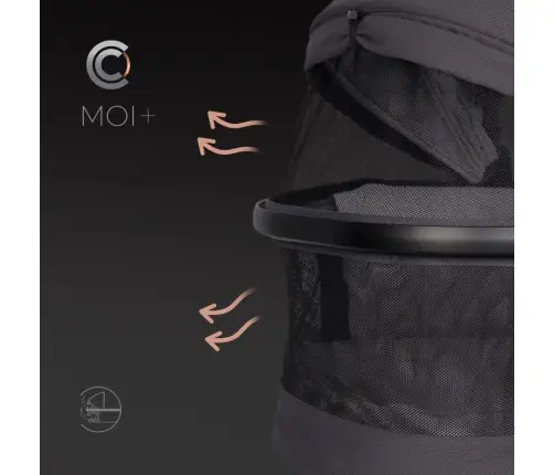 Cavoe Moi+ Iron Pastaigu rati