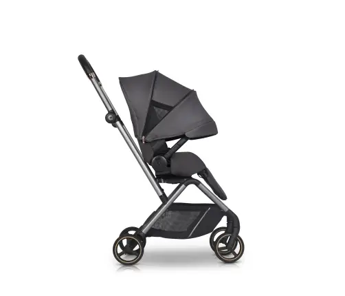 Cavoe Ideo Iron Pastaigu rati