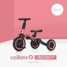 Rowerek dziecięcy Colibro TremixUP Rose