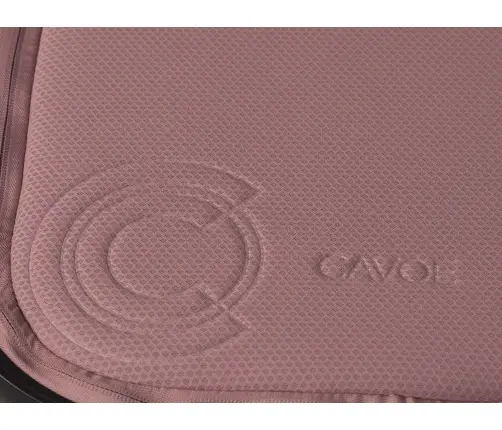 Cavoe Moi Desert Rose Bērnu rati 2in1
