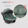 Colibro Petit Pine Bērnu autosēdeklis 0-13 kg