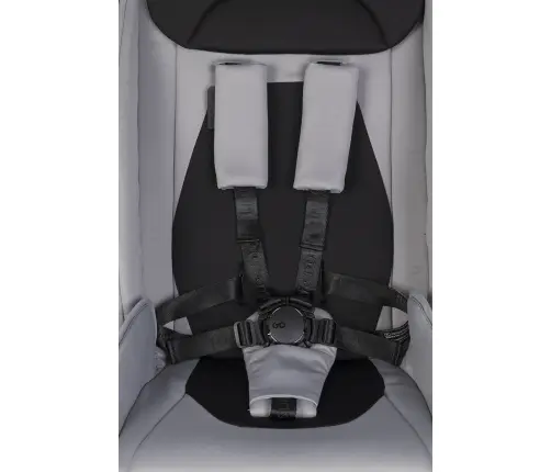 EasyGo Giro Cloudy Gray Детская коляска 2in1