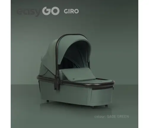 EasyGo Giro Sage Green Детская коляска 2in1