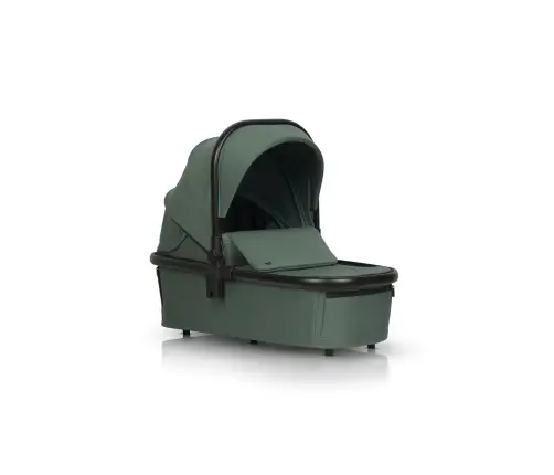 EasyGo Giro Sage Green Детская коляска 2in1