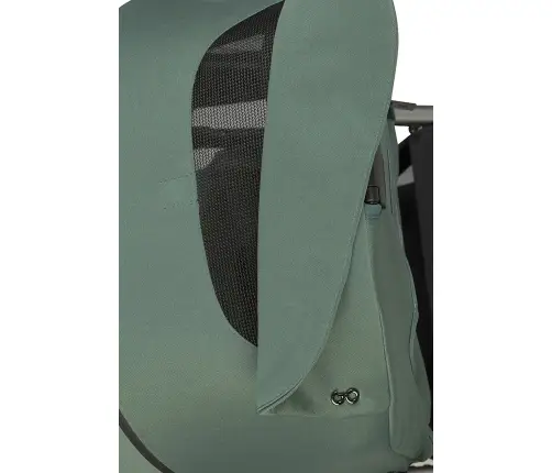 EasyGo Giro Sage Green Детская коляска 2in1