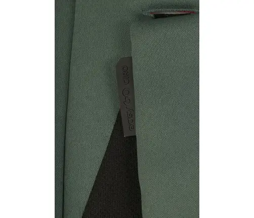 EasyGo Giro Sage Green Детская коляска 2in1