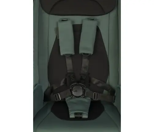 EasyGo Giro Sage Green Детская коляска 2in1