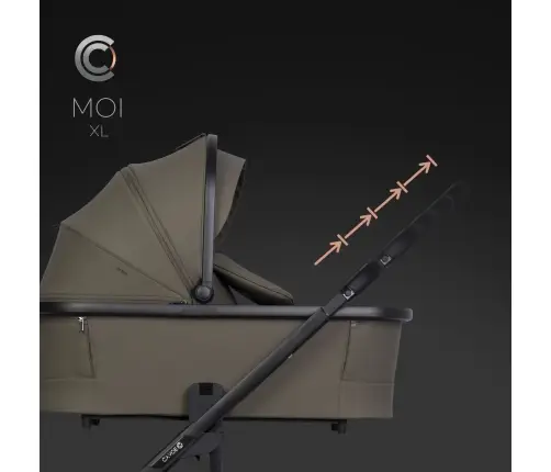 Cavoe Moi XL Moss Pastaigu rati