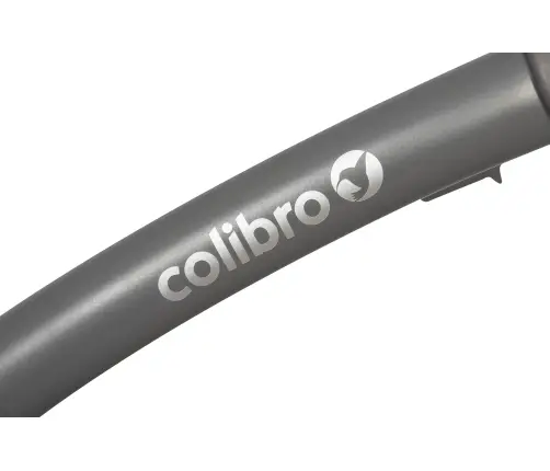 Colibro Focus Ink Bērnu rati 2 in 1