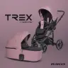 Riko Trex Energy Pink Bērnu rati 2in1